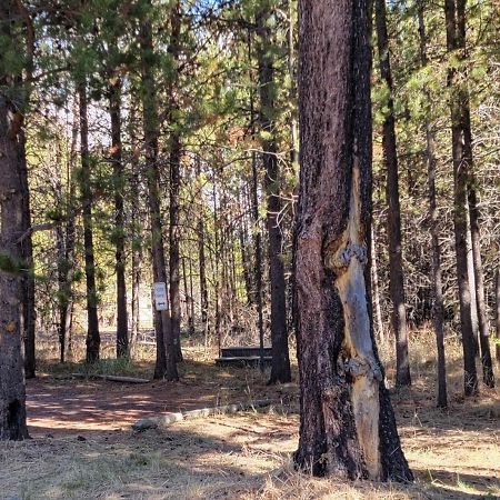 Diamondstone Guest Lodges ラ・パイン エクステリア 写真